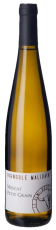 Muscat Petit Grain Malidain
